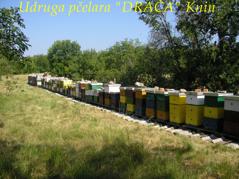 UP_Draca_Knin (11)